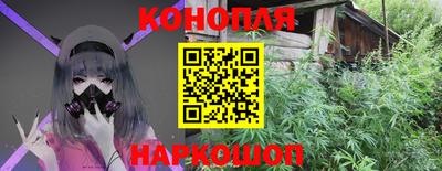 сатива Гуково