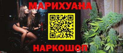 сатива Гуково