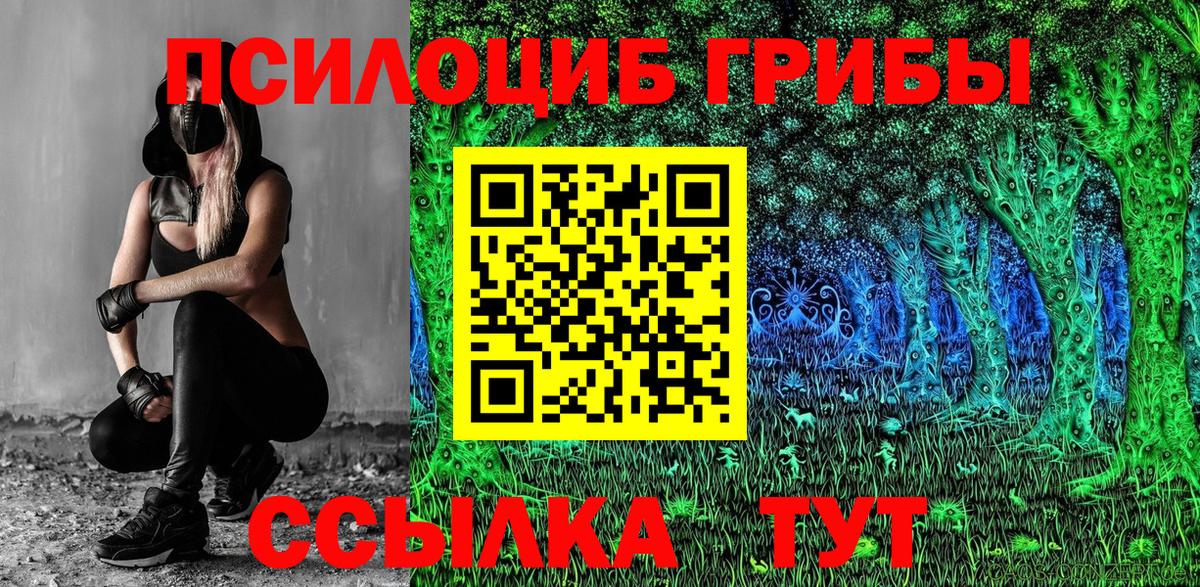 Псилоцибиновые грибы Magic Shrooms  Вход с VPN  Вичуга 